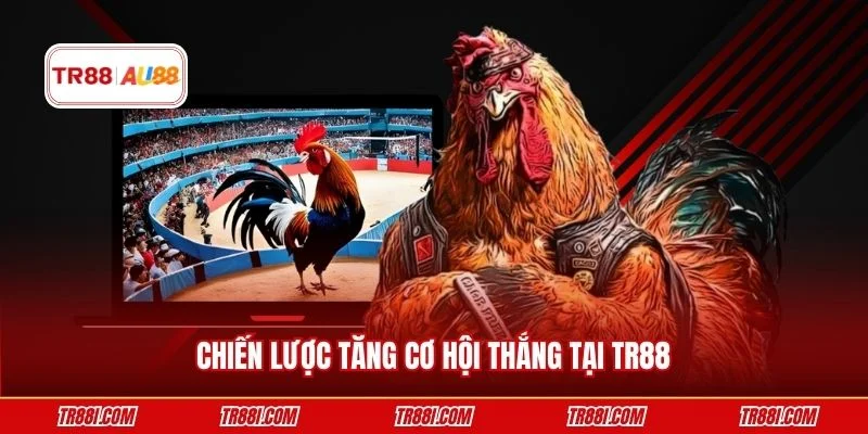 Chiến lược tăng cơ hội thắng tại TR88